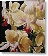 Yellow Orchids Metal Print