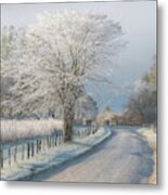 A Frosty Morning #1 Metal Print