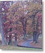 A Path To Follow #2 Metal Print