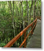 A Wooden Walkway At A Jungle Lodge #1 Metal Print