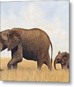 African Elephants #2 Metal Print