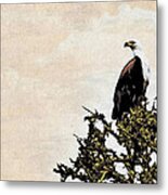 African Fish Eagle #1 Metal Print