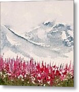 Alaska Fireweed  #1 Metal Print