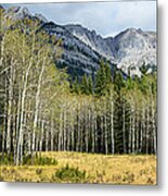 Aspen Trees With Mountains #1 Metal Print