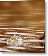 Away Quickly #1 Metal Print