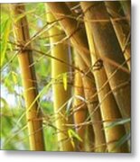 Bamboo Gold #2 Metal Print