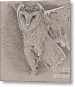 Barn Owl #1 Metal Print