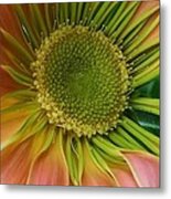 Beauty Within #3 Metal Print