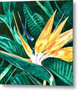 Bird Of Paradise Metal Print