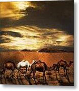 Camels #1 Metal Print