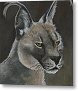 Caracal Cat #1 Metal Print