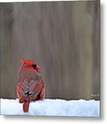 Cardinal In The Snowstorm #1 Metal Print