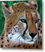 Cheetah #1 Metal Print
