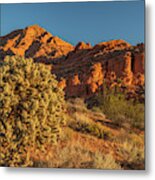 Cholla Cactus And Red Rocks At Sunrise #1 Metal Print