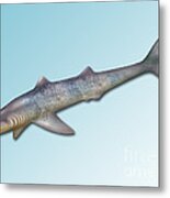 Cladoselache, Extinct Shark #1 Metal Print