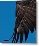Close-up Of An American Bald Eagle In Flight #4 Metal Print