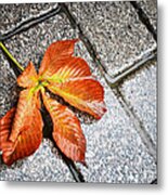 Contrast #1 Metal Print