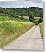 Country Lane #1 Metal Print