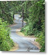 Curves Into Leadbetter Point State Park Ii Metal Print