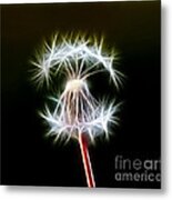 Dandelion #6 Metal Print