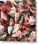 Decapitated Sardines #1 Metal Print