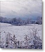 December Snow 005 Metal Print