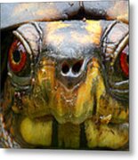 Eastern Box Turtle 2 Metal Print