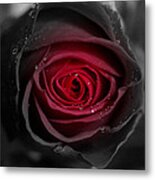 Eternally Yours Rose Metal Print