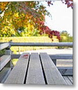 Fall Japanese Maple Leaves On Wood Bench #1 Metal Print