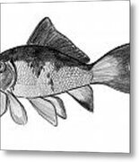 Fish Metal Print