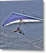 Flying #1 Metal Print