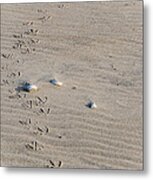 Footprints #2 Metal Print