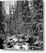Forest Stream In Black And White Metal Print