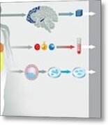 Gene Therapy Processes #1 Metal Print