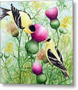 Gold Finches On Thistles #1 Metal Print