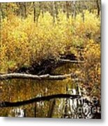 Golden Creek #1 Metal Print