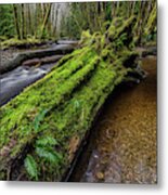 Haans Creek Flows Through The Green #1 Metal Print