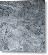 Hominid Footprints #1 Metal Print