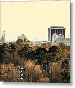 Jackson Skyline #1 Metal Print