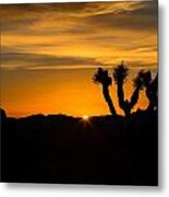 Joshua Tree Sunrise  #1 Metal Print