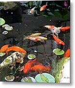 Koi Pond #1 Metal Print