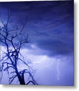 Lightning Tree Silhouette 29 Metal Print