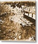 Lily Pond #1 Metal Print