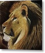 Lion Of Judah #1 Metal Print