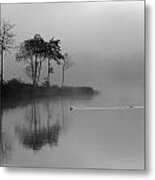 Loch Ard Trees In The Morning Mist Metal Print