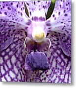 Micro Orchid #1 Metal Print