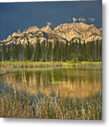 Miette Range And Talbot Lake Jasper Np #1 Metal Print