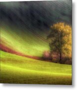 Moravian Fields #1 Metal Print