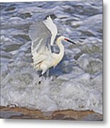 Morning Stretch  #1 Metal Print