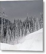 Mountain Fir Forest In Winter Season #1 Metal Print